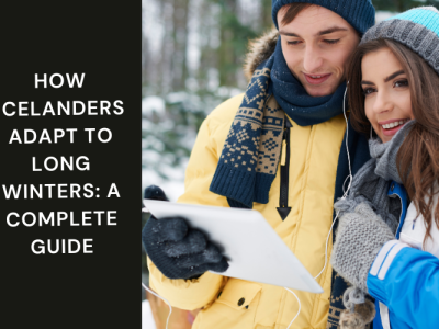How Icelanders Adapt to Long Winters: A Complete Guide
