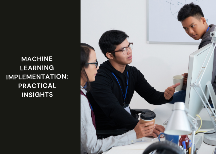 Machine Learning Implementation: Practical Insights